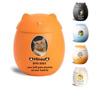 WXMYOZR Urna Piccola Personalizzata a Forma di Gatto per Le Ceneri, urna commemorativa in Ceramica Decorativa Personalizzata per Ceneri di Gatti Domestici,Arancia,Big