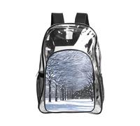 WYCZHY Borsa per libri trasparente, resistente, con stampa "Snow Falling in the Park", rinforzata, per spiaggia, sport all'aria aperta, viaggi