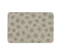 WYCZHY Petoskey Tappetino da bagno in diatomacea con stampa di pietre, antiscivolo, 60 x 40 cm, facile da riporre, tappetini da bagno per bagno e cucina