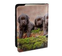 Wykjtwo Cuccioli Labrador Marrone Piccola Famiglia Di Cuccioli, Porta passaporto da viaggio in pelle PU Custodia per passaporto Copertine per passaporto da 6,5 pollici