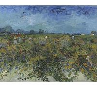 WYKUJMYTO Dipinto su Tela Classico Stampe Immagine Stampe Pittura il vigneto verde di Vincent Gogh Van Per la Decorazione dell'ufficio 60x90cm