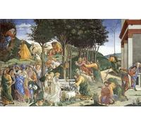 WYKUJMYTO Dipinto su Tela Classico Stampe Immagine Stampe Pittura Scene della vita di Mosè di Sandro Botticelli Per la Decorazione dell'ufficio 60x90cm