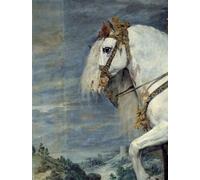 WYKUJMYTO Famoso Quadri Moderni Artistico Poster Ritratto equestre di Isabella di Francia Moglie di IV di Spagna di Diego Rodriguez Per la Decorazione Domestica 60x90cm