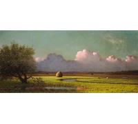 WYKUJMYTO Riproduzione Dipinto Tela da Arte Stampe Arte Quadro Luce solare e ombra nelle paludi di Newbury di Mrtinss Johnson Heade Per la Decorazione Murale 60x90cm