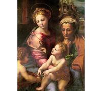 WYKUJMYTO Stampe Immagine Stampe Pittura la Sacra Famiglia Particolare della Vergine Sant'Elisabetta col Bambino di Raffaello Sanzio Raffaello Per la Decorazione dell'ufficio 60x90cm