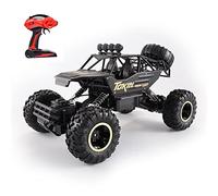 WYMYY Auto telecomandata in Scala 1/12 di Grandi Dimensioni RC 2.4GHz Auto 4WD Offroad Crawler Climbing Truck Kit di Veicoli Giocattolo per Bambini e Adulti con 2 batterie Ricaricabili (