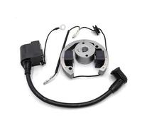 WYNAnGAI Accensione Elettronica for Moto Adatta for Kit volano statore rotore Interno Bobina di accensione 50cc (Pezzi di Ricambio)