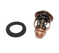 WYNAnGAI Termostato 122F 50C Compatibile con Motori fuoribordo F115 LF115 VF115 F130 LF130 6EK1241100 Sierra 183639