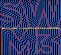 Wynn Steve - Northern Aggression