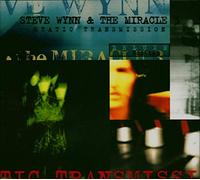 Wynn,Steve - Static Transmission