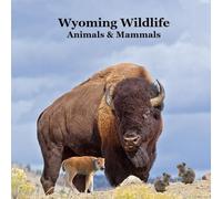 Wyoming Animals and Mammals Wildlife Book: Great Wyoming Animals book with Lifelike Images and Fun Facts