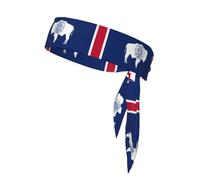 Wyoming Bandiera dello Stato Sport Cravatta Spiaggia Estate Tropicale Regolabile Antiscivolo Traspirante per Corsa Ninja Fascia Testa