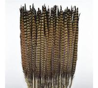 WYQXTY Piuma Naturale Piuma Decorativa per Artigianato, Piume di Coda di Fagiano dal Collo ad Anello for Artigianato Multicolore 10-75 cm Confezione da 10-200 Pezzi(50-55cm 20-22inch,50 PCS)