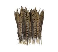 WYQXTY Piuma Naturale Piuma Decorativa per Artigianato, Piume di Coda di Fagiano dal Collo ad Anello for Artigianato Multicolore 10-75 cm Confezione da 10-200 Pezzi(20-25cm 8-10inch,50 PCS)