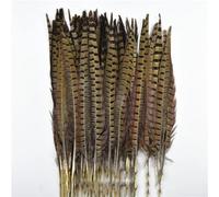 WYQXTY Piuma Naturale Piuma Decorativa per Artigianato, Piume di Coda di Fagiano dal Collo ad Anello for Artigianato Multicolore 10-75 cm Confezione da 10-200 Pezzi(35-40cm 14-16inch,50 PCS)