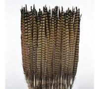 WYQXTY Piuma Naturale Piuma Decorativa per Artigianato, Piume di Coda di Fagiano dal Collo ad Anello for Artigianato Multicolore 10-75 cm Confezione da 10-200 Pezzi(55-60cm 22-24inch,200 PCS)