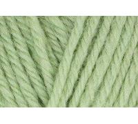 WYS West Yorkshire Spinners Morris DK Filato Di Lana 50g