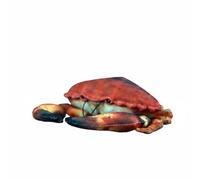 Wyvix Peluche realistico a forma di granchio rosso - Bambola peluche snodabile a animale marino da 10,2 pollici con gambe pieghevoli for