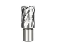 WZFC Drill Bit Annular Cutter With Weldon Shank HSS Hole Saw Cutter For Magnetic Drill Press, 5l8x1 Inch