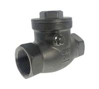 WZJG BSPT 1-1/2" DN40 PN16 CF8M Threaded Swing Check Valve 200PSI Stainless Steel SS304 Female Check Valve(DN15)