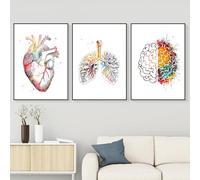 WZXGHE Poster di anatomia medica,poster di anatomia del cuore con fiori, immagini cuore polmone cervello,per decorazione dell'ufficio del medico senza cornice (D, 3x40x60cm, Senza cornice)