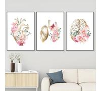 WZXGHE Poster di anatomia medica,poster di anatomia del cuore con fiori, immagini cuore polmone cervello,per decorazione dell'ufficio del medico senza cornice (C, 3x40x60cm, Senza cornice)