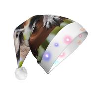 WZYCWB A little koala - Cappello da Babbo Natale in peluche luminoso, per Natale, Capodanno ed eventi