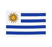 WZYCWB Bandiera dell'Uruguay Festone per compleanni, canti natalizi, lauree e anniversari.