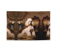 WZYCWB Barboncino Festone per compleanni, canti natalizi, lauree e anniversari.