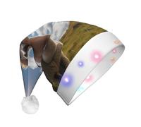WZYCWB Cappelli adulti di Babbo Natale dell'alpaca, regali della festa di Natale di Capodanno della peluche, cappelli unisex di Babbo Natale della luce del nuovo anno LED