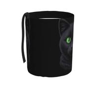 WZYCWB Cestino portatile per auto con gattino dagli occhi verdi, pratico secchio portaoggetti per auto, pratico, comodo e pieghevole, un must per le auto.