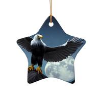 WZYCWB Ciondolo in ceramica a forma di aquila sotto le stelle, perfetto per decorare l'albero di Natale in casa per feste invernali, Misura unica, Ceramica