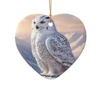WZYCWB Ciondolo in ceramica a forma di cuore con gufo bianco, perfetto per decorare l'albero di Natale in casa per feste invernali