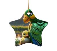 WZYCWB Ciondolo in ceramica a forma di stella a forma di anatroccolo, perfetto per decorare l'albero di Natale in casa per feste invernali