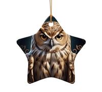 WZYCWB Ciondolo in ceramica a forma di stella a forma di gufo, perfetto per decorare l'albero di Natale in casa per feste invernali