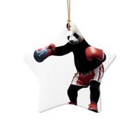 WZYCWB Ciondolo in ceramica a forma di stella a forma di panda che pratica il Kung Fu, perfetto per decorare l'albero di Natale in casa per feste invernali