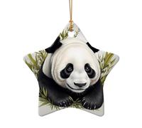 WZYCWB Ciondolo in ceramica a forma di stella a forma di panda con foglie di bambù, perfetto per decorare l'albero di Natale in casa per feste invernali