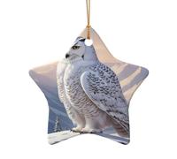 WZYCWB Ciondolo in ceramica a forma di stella con gufo bianco, perfetto per decorare l'albero di Natale in casa per feste invernali