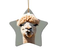 WZYCWB Ciondolo in ceramica a forma di stella con motivo alpaca avatar, perfetto per decorare l'albero di Natale in casa per feste invernali, Misura unica, Ceramica