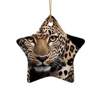 WZYCWB Ciondolo in ceramica a forma di stella con motivo leopardato dagli occhi grandi, perfetto per decorare l'albero di Natale in casa per feste invernali