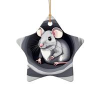 WZYCWB Ciondolo in ceramica a forma di stella con topolino nel buco, perfetto per decorare l'albero di Natale in casa per feste invernali