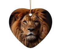 WZYCWB Ciondolo in ceramica a forma di stella The Lion's Gaze, perfetto per decorare l'albero di Natale in casa per feste invernali, Misura unica, Ceramica