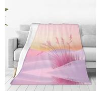 WZYCWB Coperta in micro pile rosa deserto, isolante e durevole, coperta per aria condizionata, letto, cinema, divano, soggiorno, viaggio, 203 x 152 cm