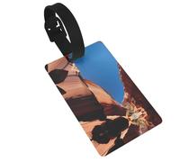 WZYCWB Etichette per bagagli con motivo gola - Accessori da viaggio per aerei, zaini e bagagli