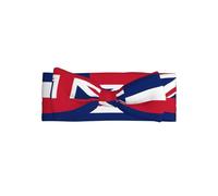 WZYCWB Fascia elastica per capelli con bandiera delle Hawaii, accessorio per capelli per bambine da 0 a 6 mesi, regalo molto significativo