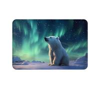 WZYCWB Little Polar Bear Zerbino di benvenuto stampato 40,6 x 61 cm tappetino bagno soggiorno balcone ingresso zerbino