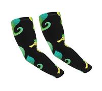 WZYCWB Maniche di protezione solare minimaliste a forma di cavalluccio marino ghiacciato, adatte per tutte le stagioni, adatte per golf, ciclismo, pesca, giardinaggio, ecc.