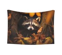 WZYCWB Nerdy Raccoon - Coperta stampata per animali domestici, adatta per cucce per animali domestici, cucce per cani/cesti per gatti