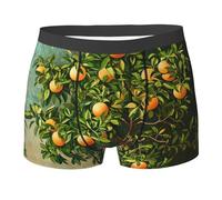 WZYCWB Passion fruit tree Boxer da uomo (S-XXL) - tessuto elastico leggero, traspirante, assorbe il sudore, free stretch, Nero, XXL