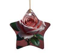 WZYCWB Questa fascia per capelli in ceramica a forma di stella con albero di Natale stampata con un motivo è perfetta per feste di Natale invernali e decorazioni per la casa., Misura unica, Ceramica